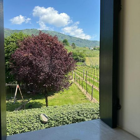 Casa Vacanze Ricca Vigna Valdobbiadene Bagian luar foto