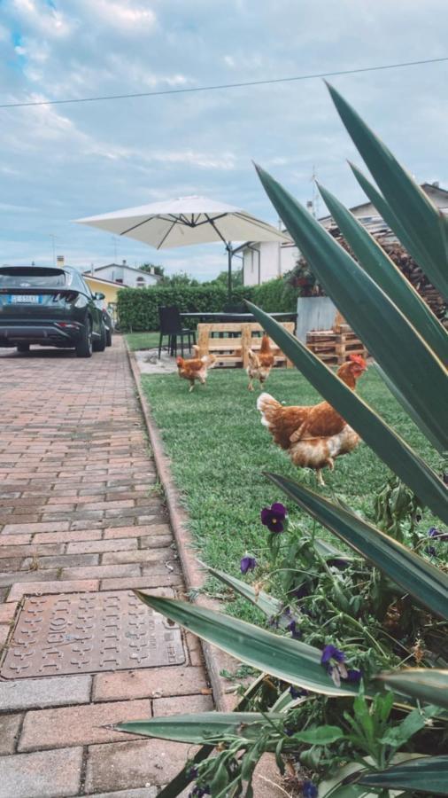 Casa Vacanze Ricca Vigna Valdobbiadene Bagian luar foto