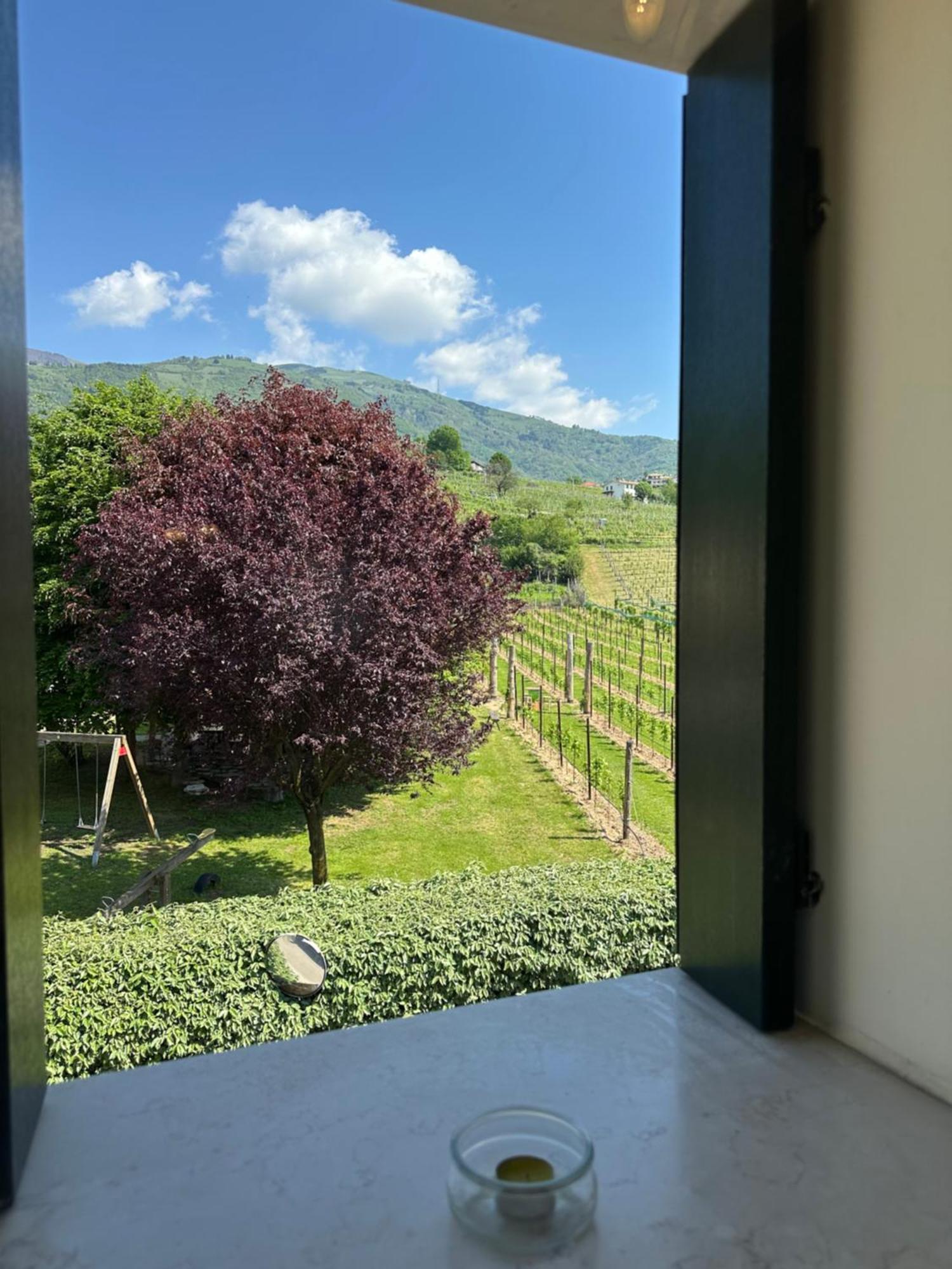 Casa Vacanze Ricca Vigna Valdobbiadene Bagian luar foto