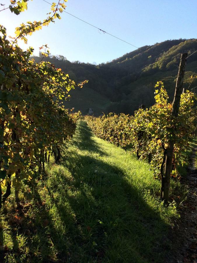 Casa Vacanze Ricca Vigna Valdobbiadene Bagian luar foto